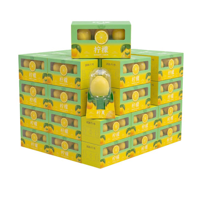 HQ Ningxia Lemon Ice Cream