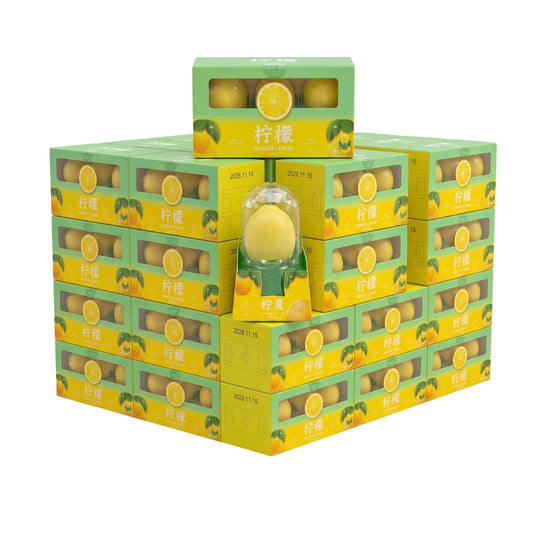 HQ Ningxia Lemon Ice Cream